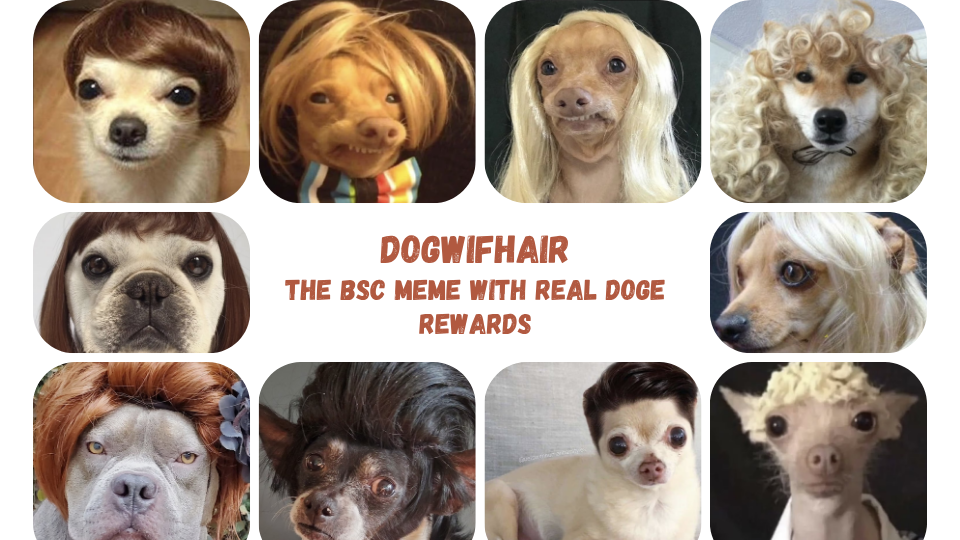 Dogwifhair-1.png