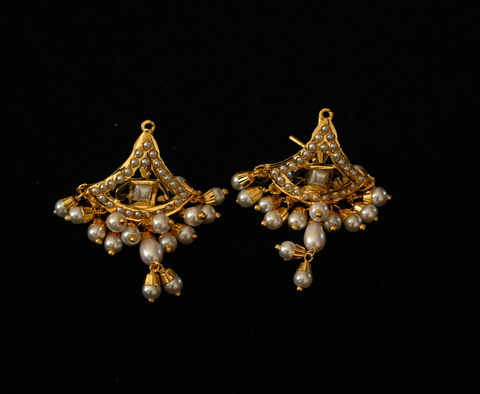 PARIMAL alternate view