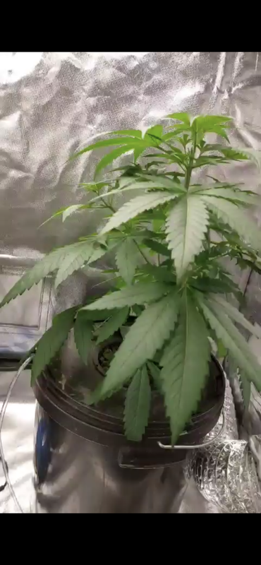 94105D28-24D9-463D-BB81-A72E4A8E015B