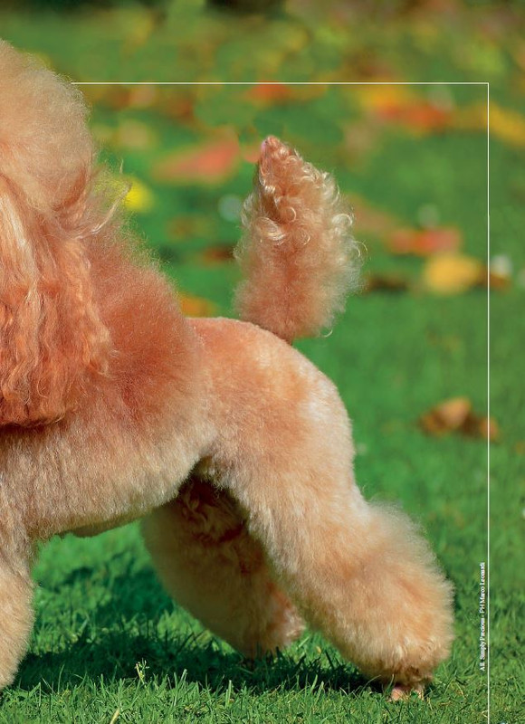 Argos Ago-Set 2023 (4)