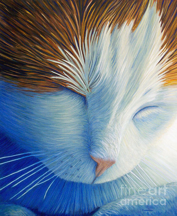 dream-within-a-dream-brian-commerford