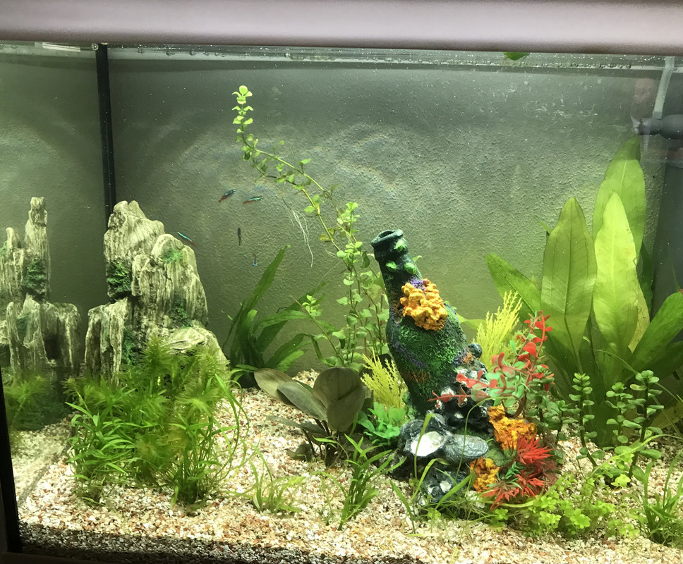 B67110BF-6D69-4525-A976-588A2B9746A4