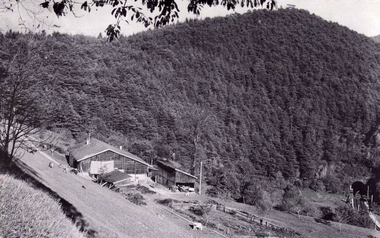 Reisachhof mit Bergisel