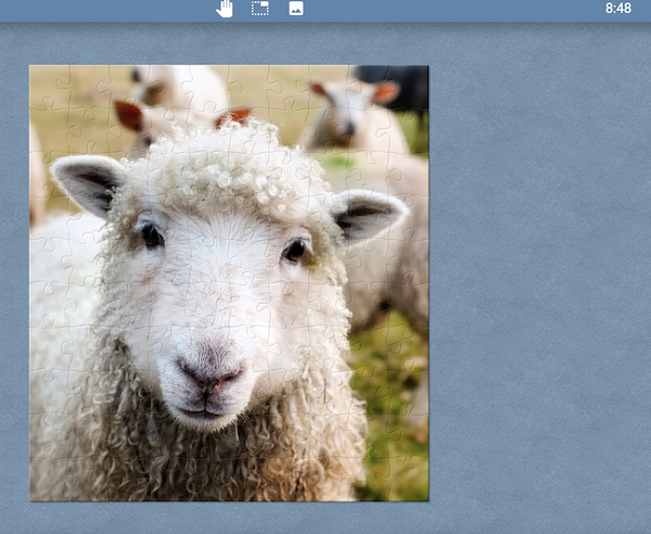 sheep.png