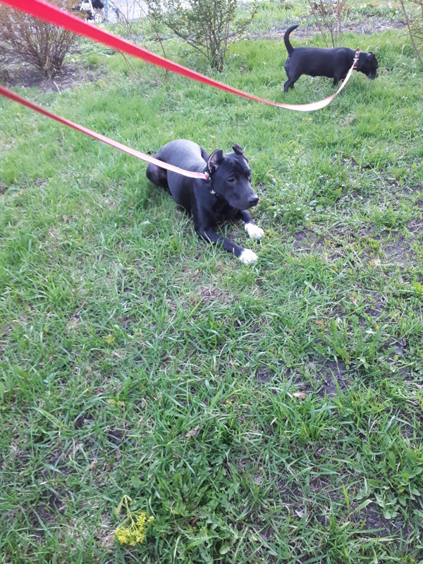 BA654263-2751-4AC8-8137-E865C1D126EF