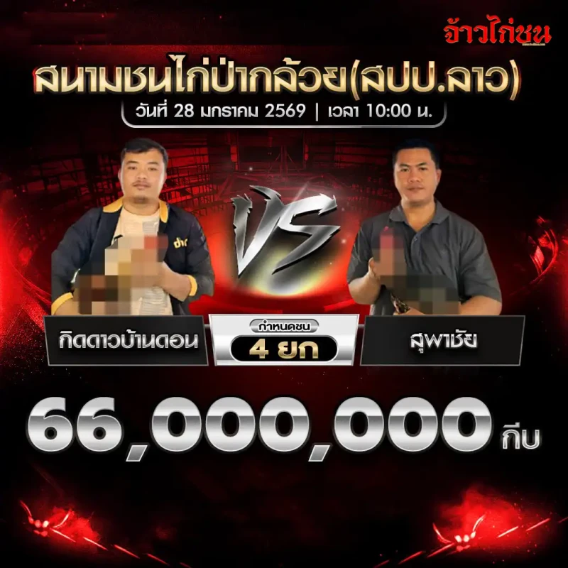 โปรแกรมไก่ชน คู่เด่น: กิตตาวบ้านตอน พบ สุพาชัย ชิง 66,000,000 กีบ