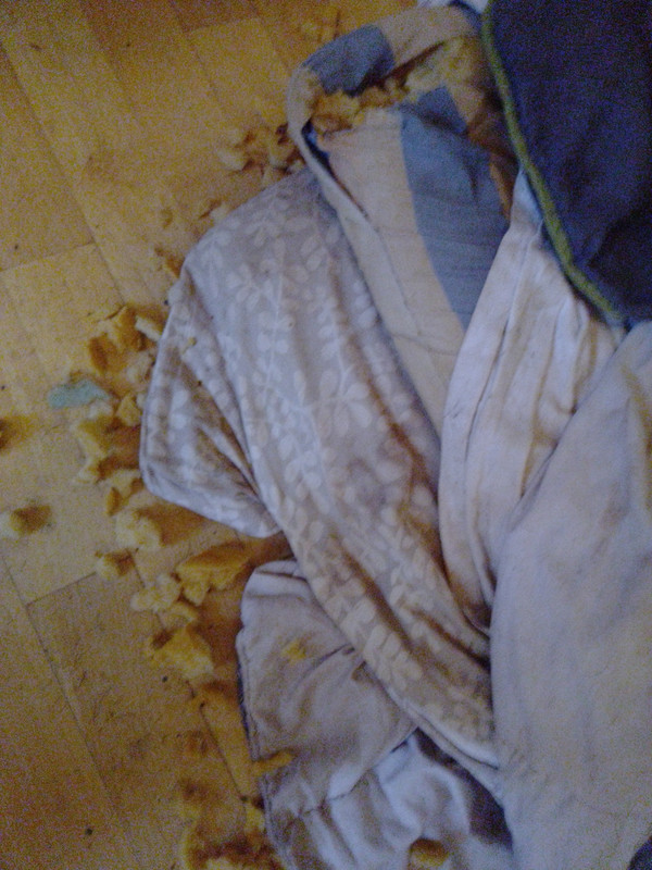 [Image: IMG-20240206-134732.jpg]