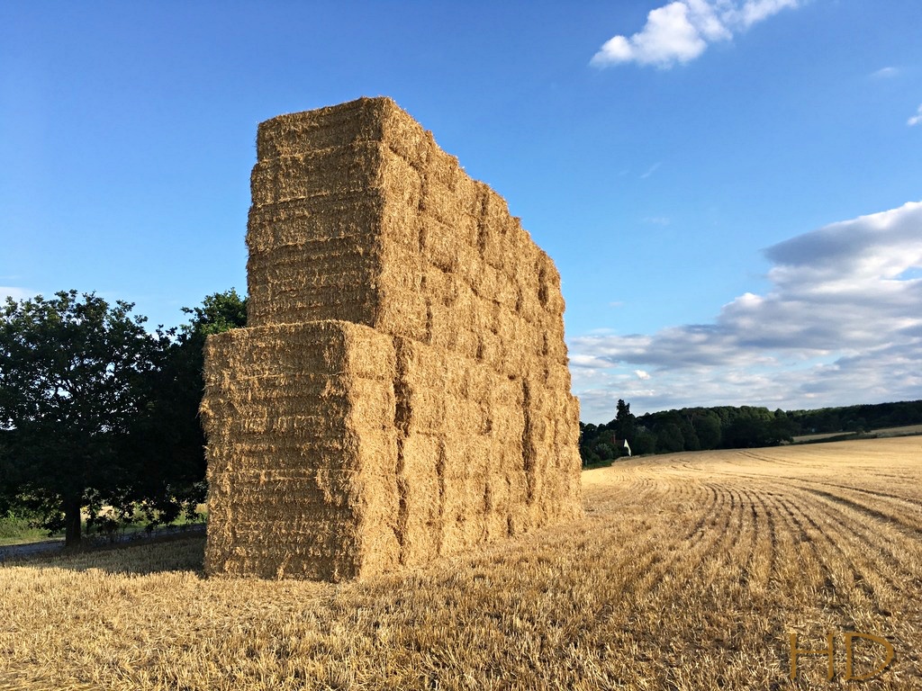 haystacks4-HD.jpg