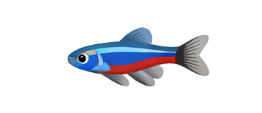 zebradanio sprite