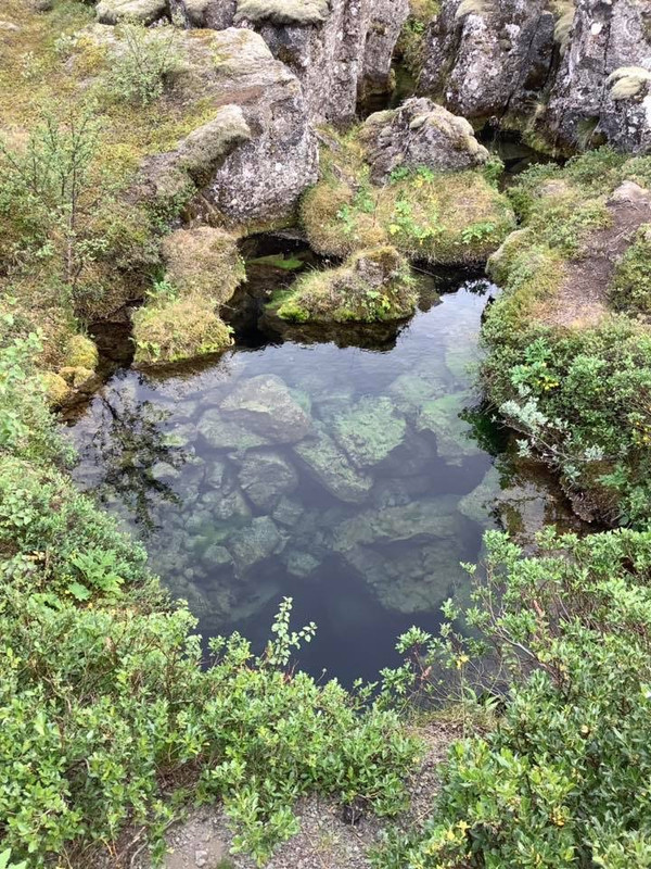 E496169F-49DC-4F14-9280-CB106BE30CEB