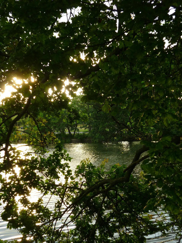 photo 48 2025 12 27 21 08 38