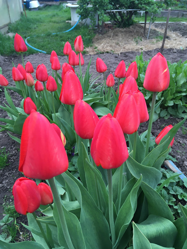 31438A41-2575-47DB-AAAA-23BFF62EAB9D