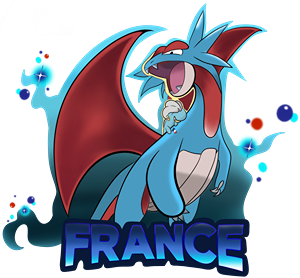 team-france.png