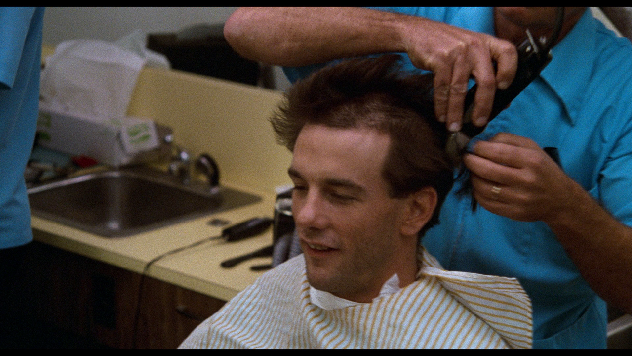 vlcsnap-2024-02-21-19h33m35s268