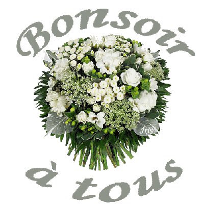 mardi 19 mars BONSOIR-TOUS-FLEURS