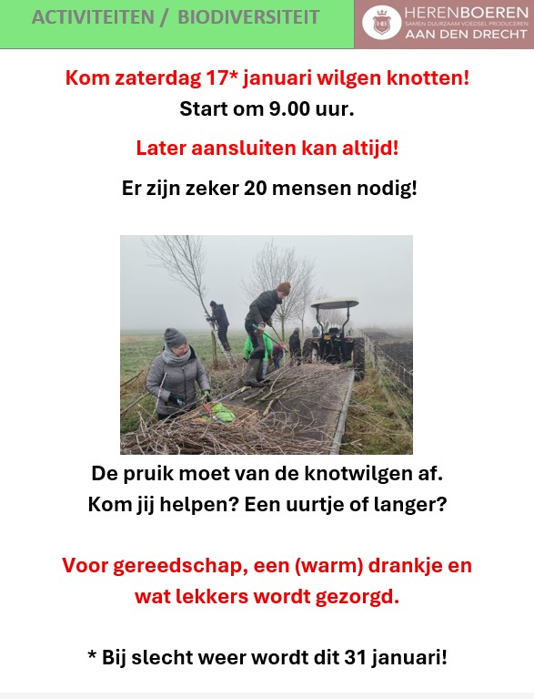 2026-01-17-31-wilgen-knotten-aankondiging-staand-jpg