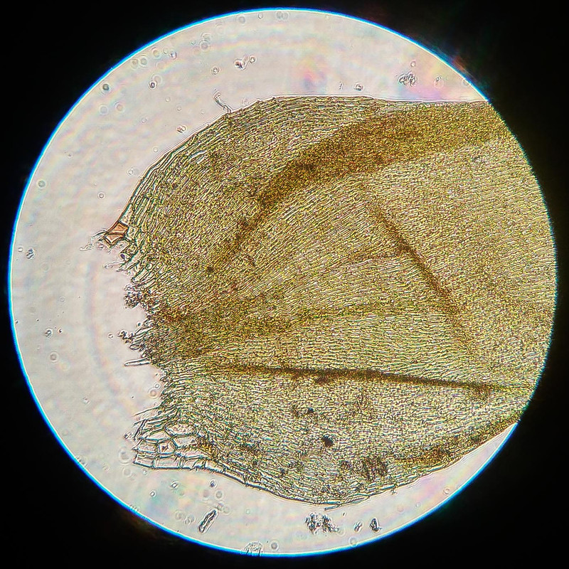 IMG 20250616 220335 HDR