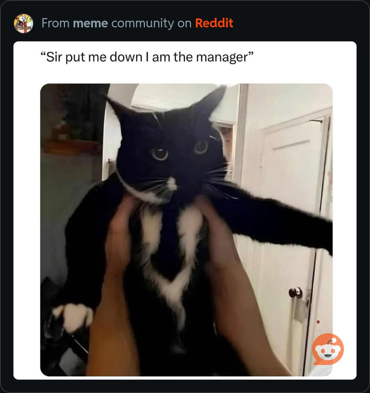 RDT_20250216_2153426391101338806914694