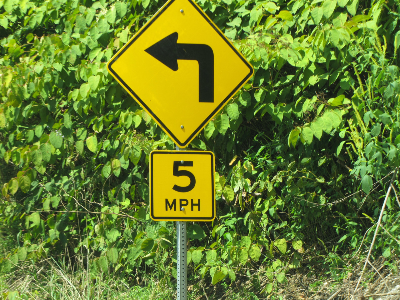 5 mph advisory speed sign