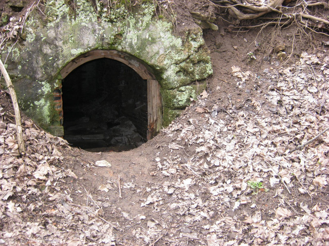 весна, Ропша