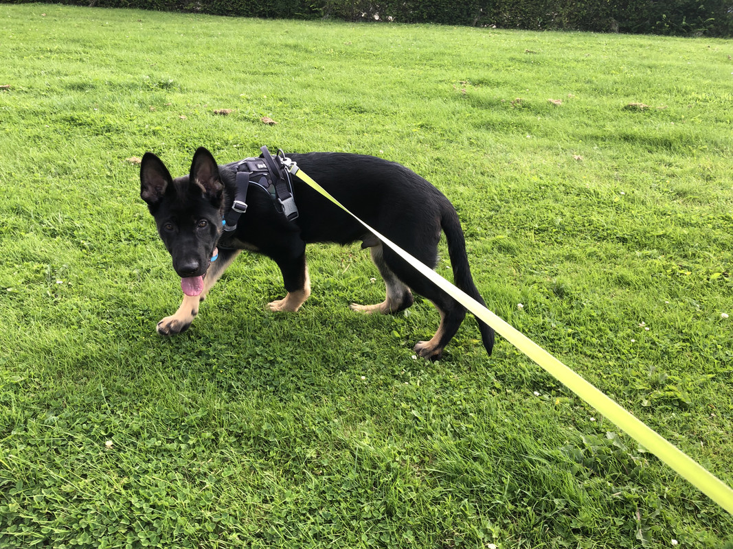 4E965118-ED3A-4AEC-91AC-811035B2F5F4