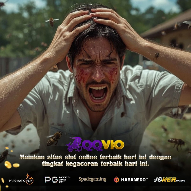 QQVIO > Peluang Menang Lebih Besar di Banding Web Sebelah - WooCommerce eCommerce
