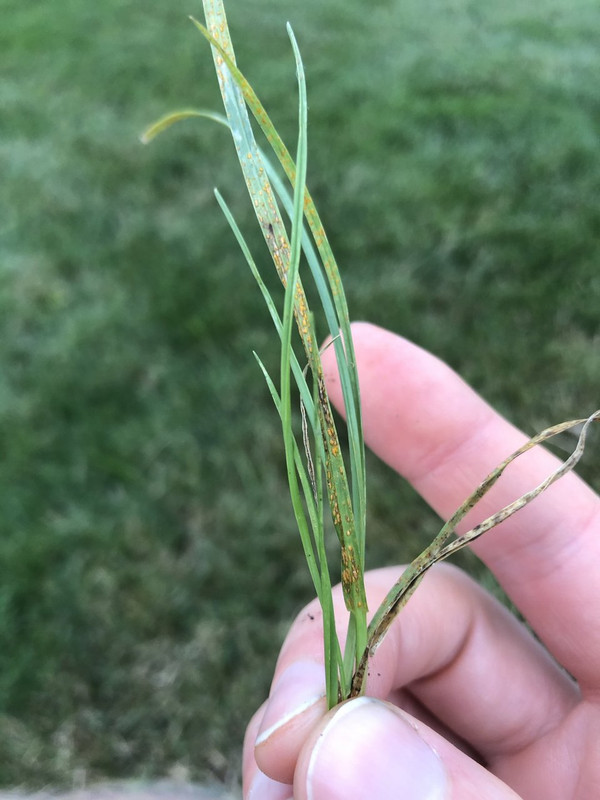 D1C10104-6947-4175-BB63-4B7A5CF978E2