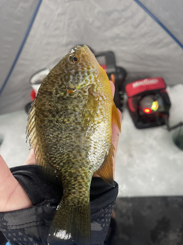 E572BC6B-08BE-438C-818F-BA5D591ECDED