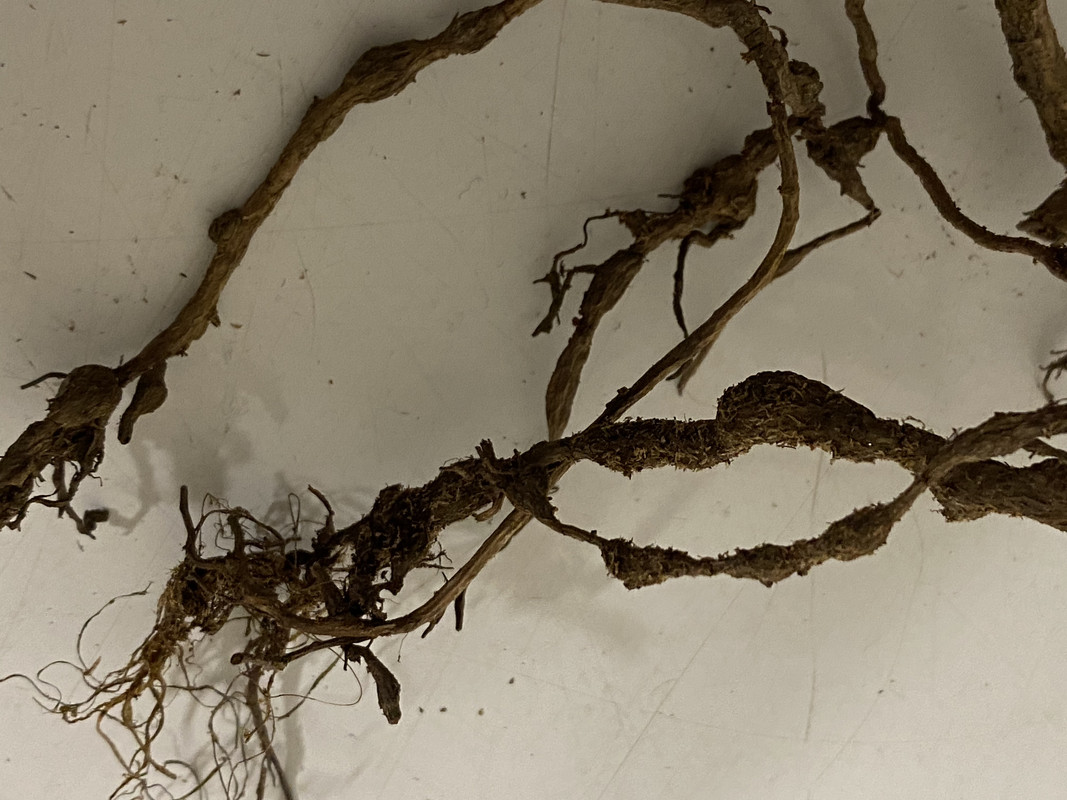 57AF7712-D446-46F8-9B45-8A94B5978CFF