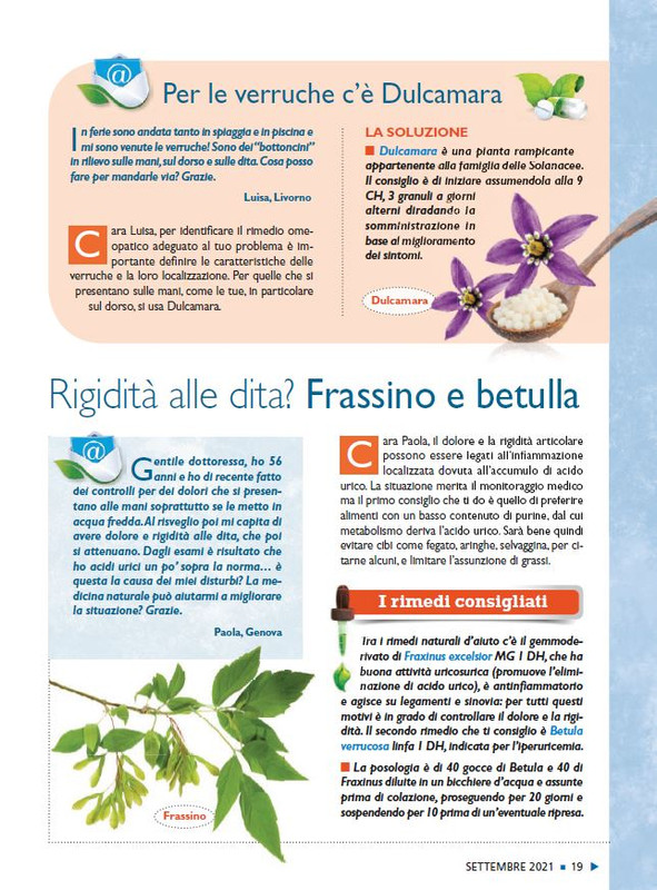 Sal Nat Set 2021 (2)