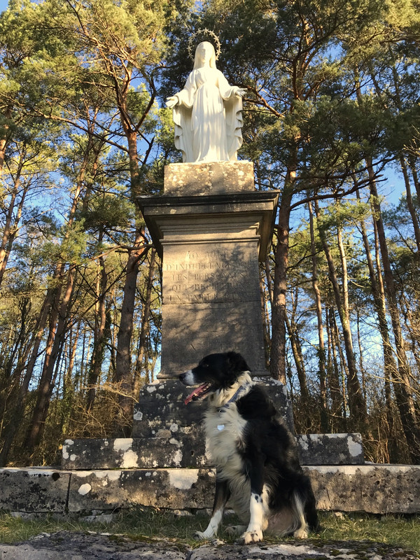 AE6AC004-07B4-4DB5-842A-E03040898B0F