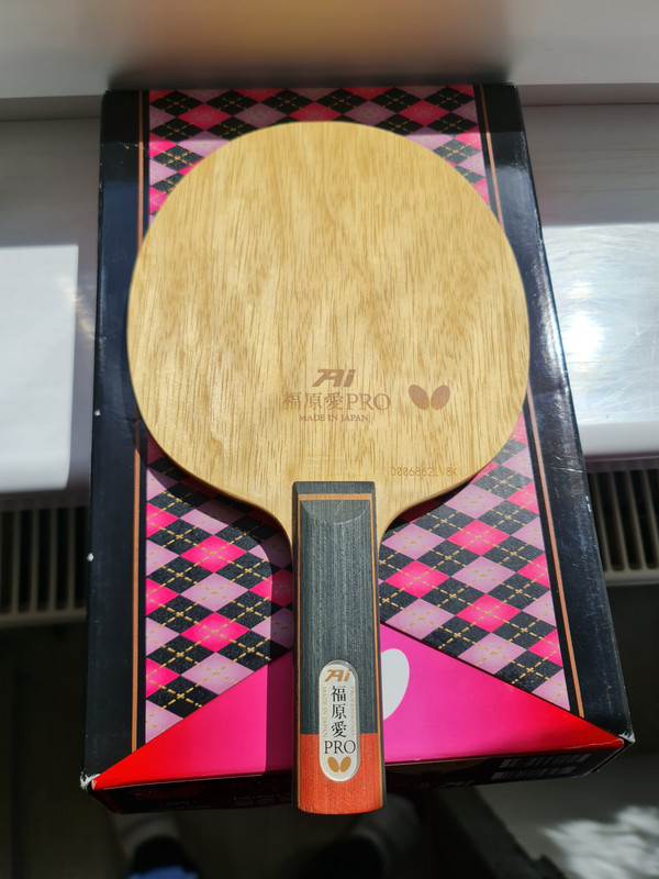 6. BTY AI FUKUHARA ZLF ST (2)