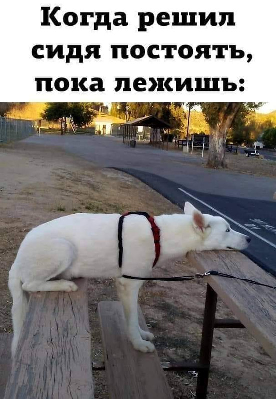 FB_IMG_1621406619675