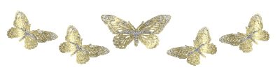 17192729963vx-Hxx.gif