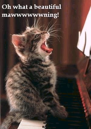 Beautiful-Mawwwning