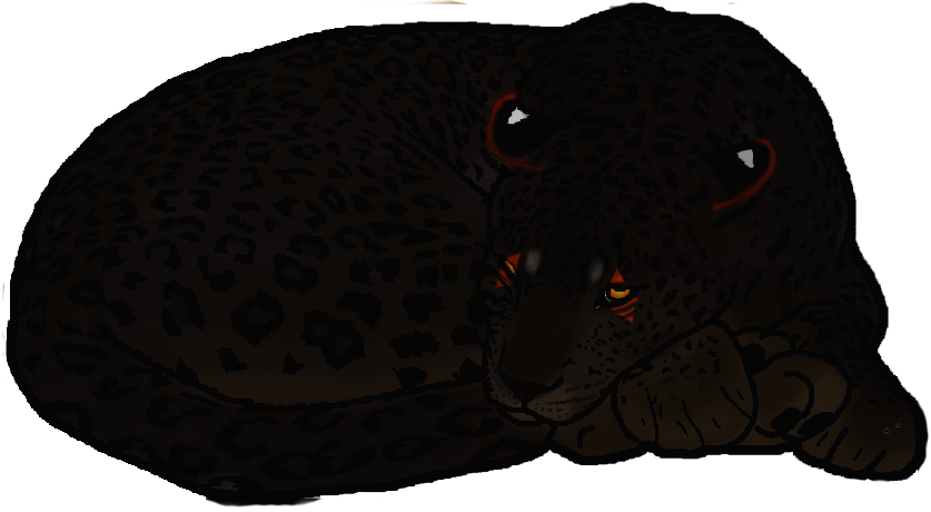 [Image: kydobicurl.png]