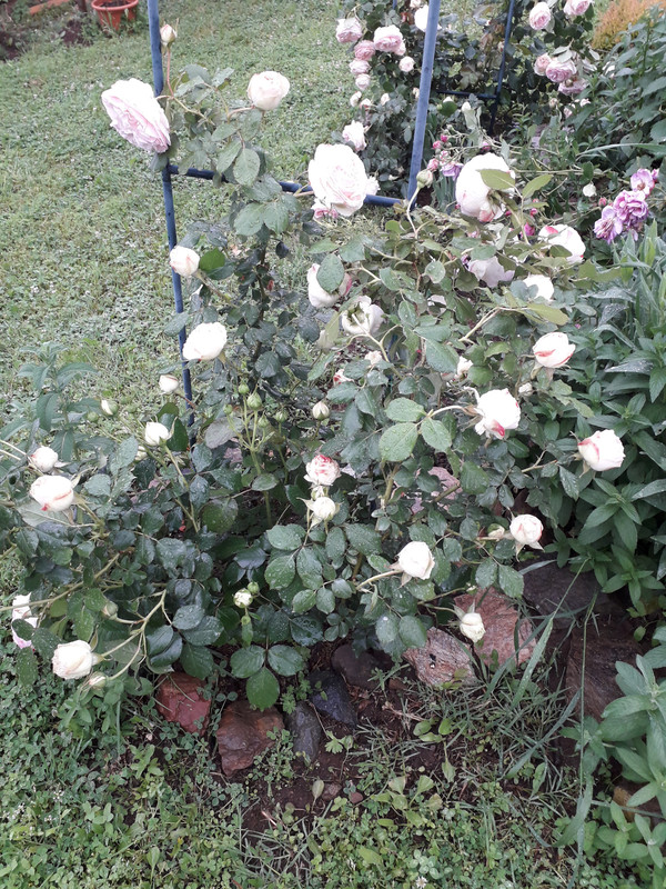20190524_092327