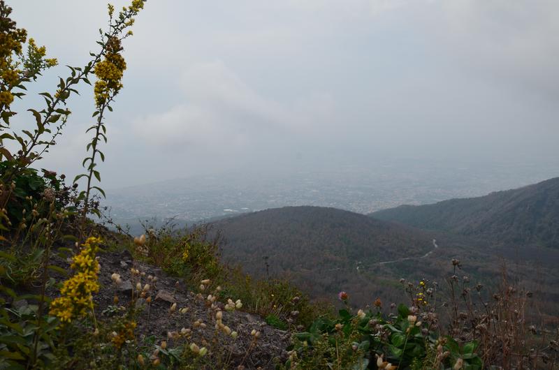 Italia y sus pueblos-2018/2019/2023 - Blogs de Italia - NAPOLES Y MONTE VESUBIO-21-9-2018 (38)