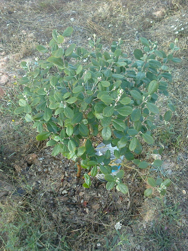 foto0104