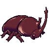 beetle-left-face.png