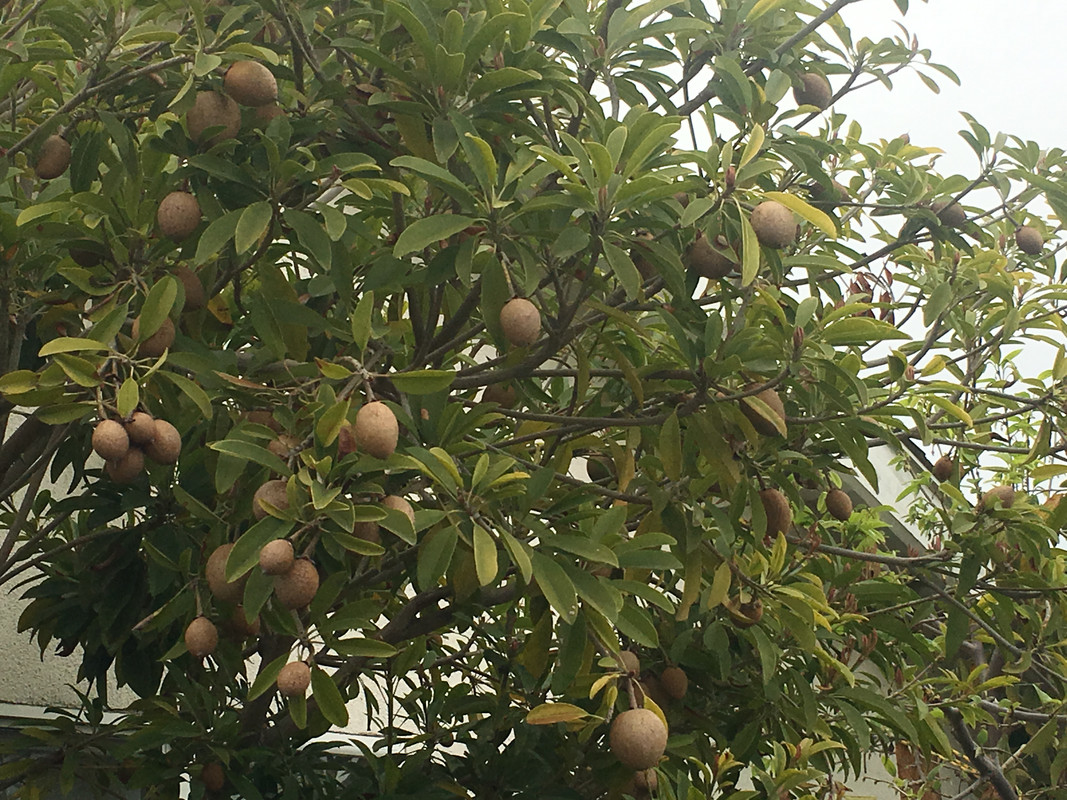 F6A340A3-303F-4F6C-8759-0756CEF6B86B