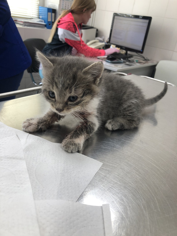 F33C9B4F-670A-474F-9D7F-A7222C3ED7BE