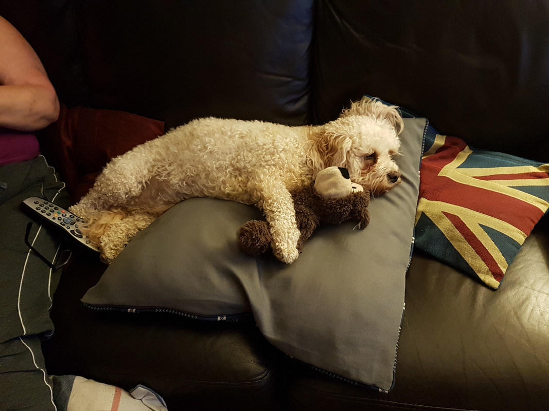 7967F42A-3E18-41AF-BE8D-2B2E6D086452