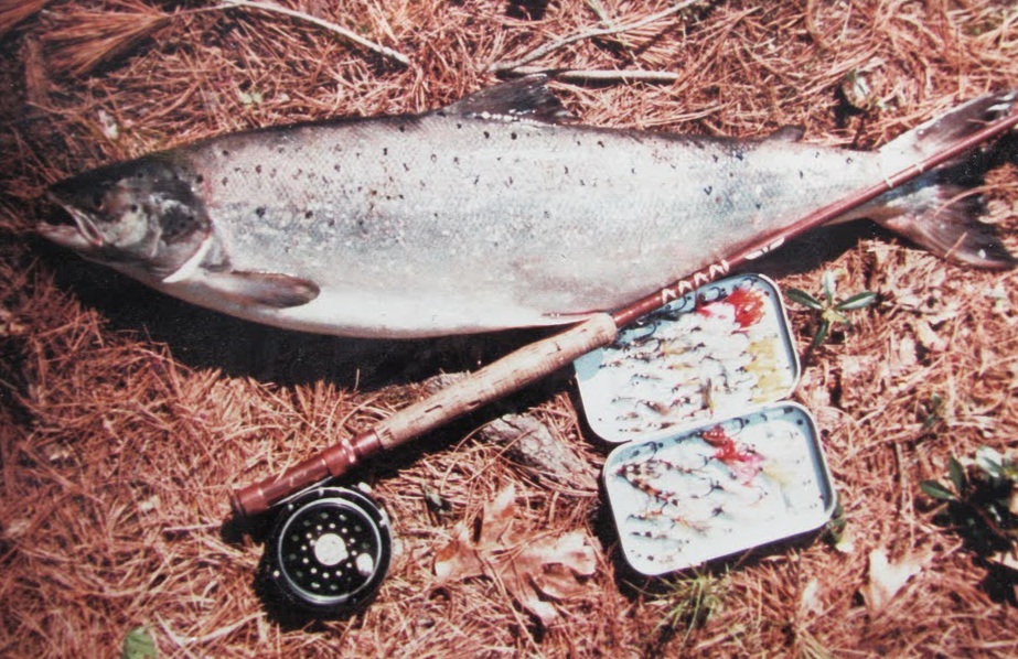 5583403676_d5bea7d546_b (1)