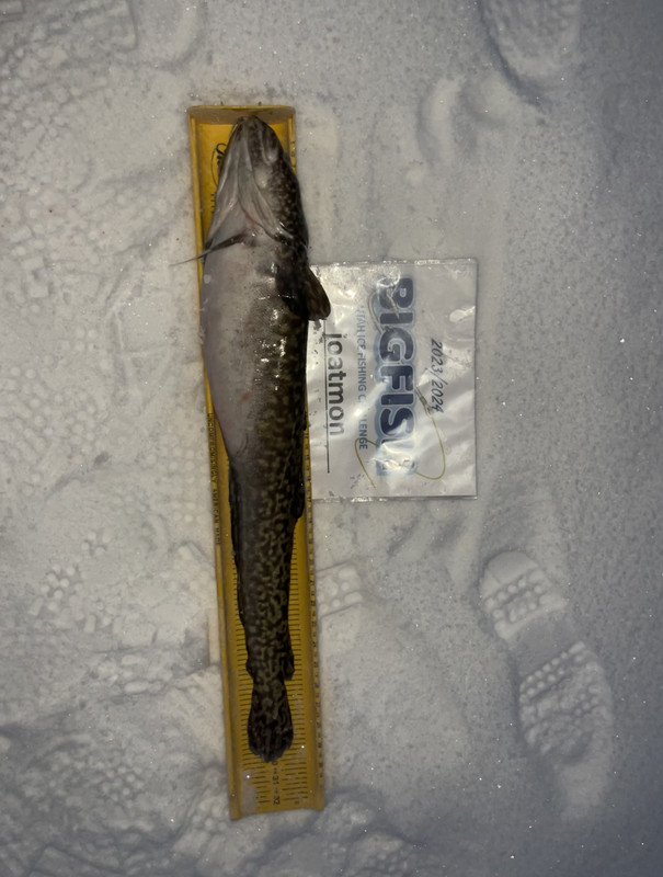 D77D51B9-DB91-48BF-A55F-26ABD64C8576