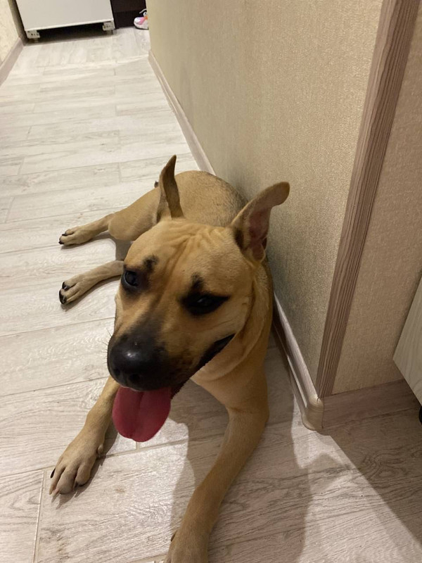 49554AD3-8621-4A3A-B3D5-61B6F806E4E0