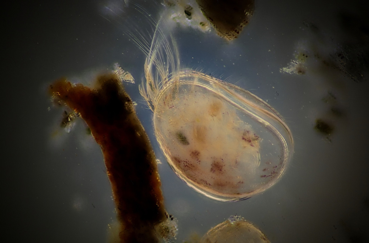 6BDA36CB-B0CD-48D5-9083-4FA35C90596D