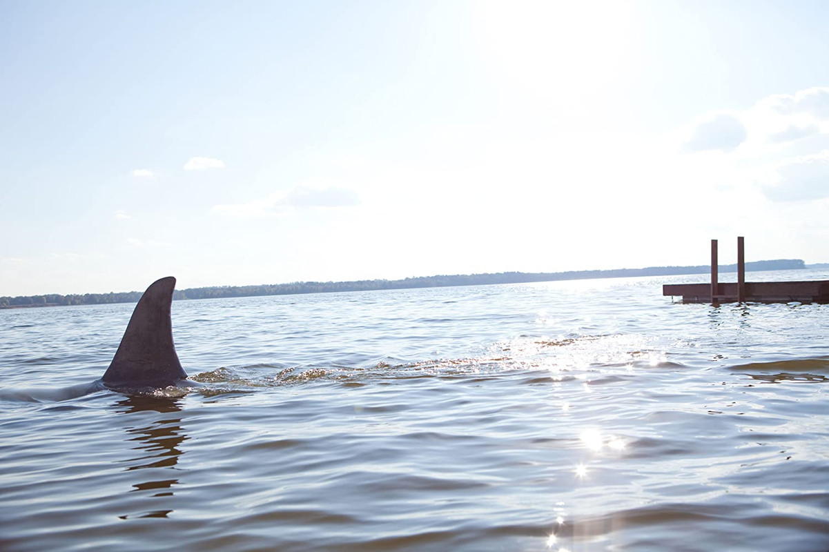 Shark Night