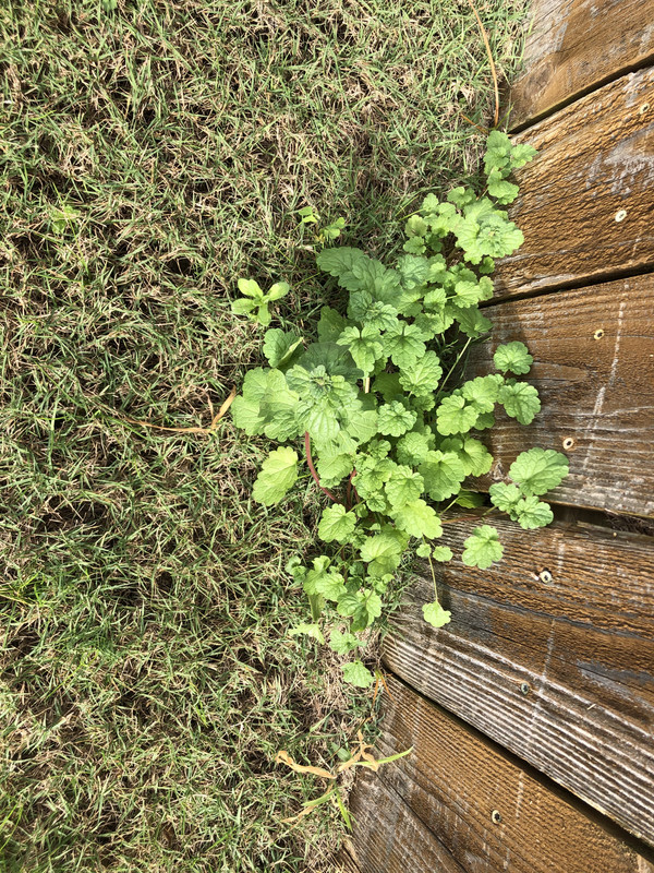 0731F9A5-3728-41FE-A44E-C6750BD411A3