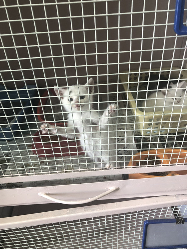 F5EEC348-7EE1-465F-818E-E94982302C5F